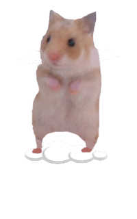 a dying hamster