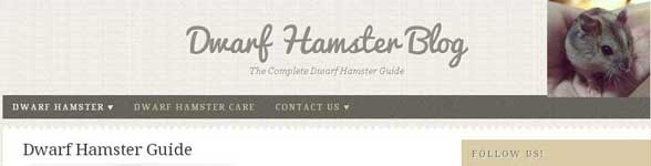 hamster blog