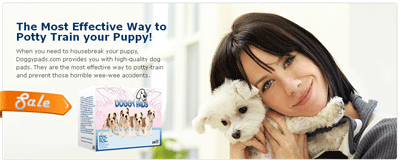 doggy pads