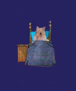 hammy in bed
