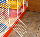 hamster trap